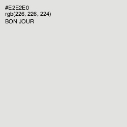 #E2E2E0 - Bon Jour Color Image